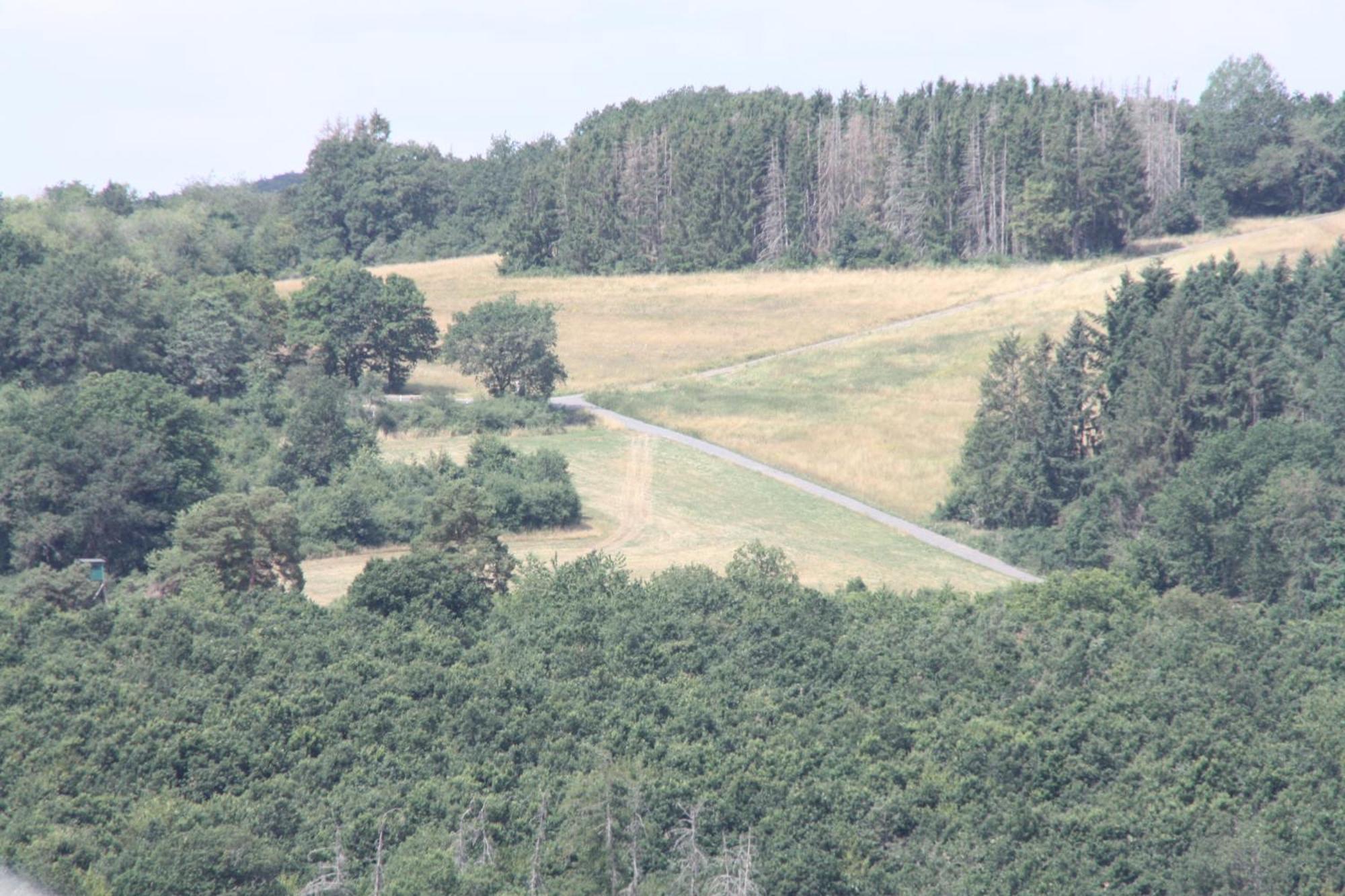Haus Buchholz Apartment Liesenich ภายนอก รูปภาพ