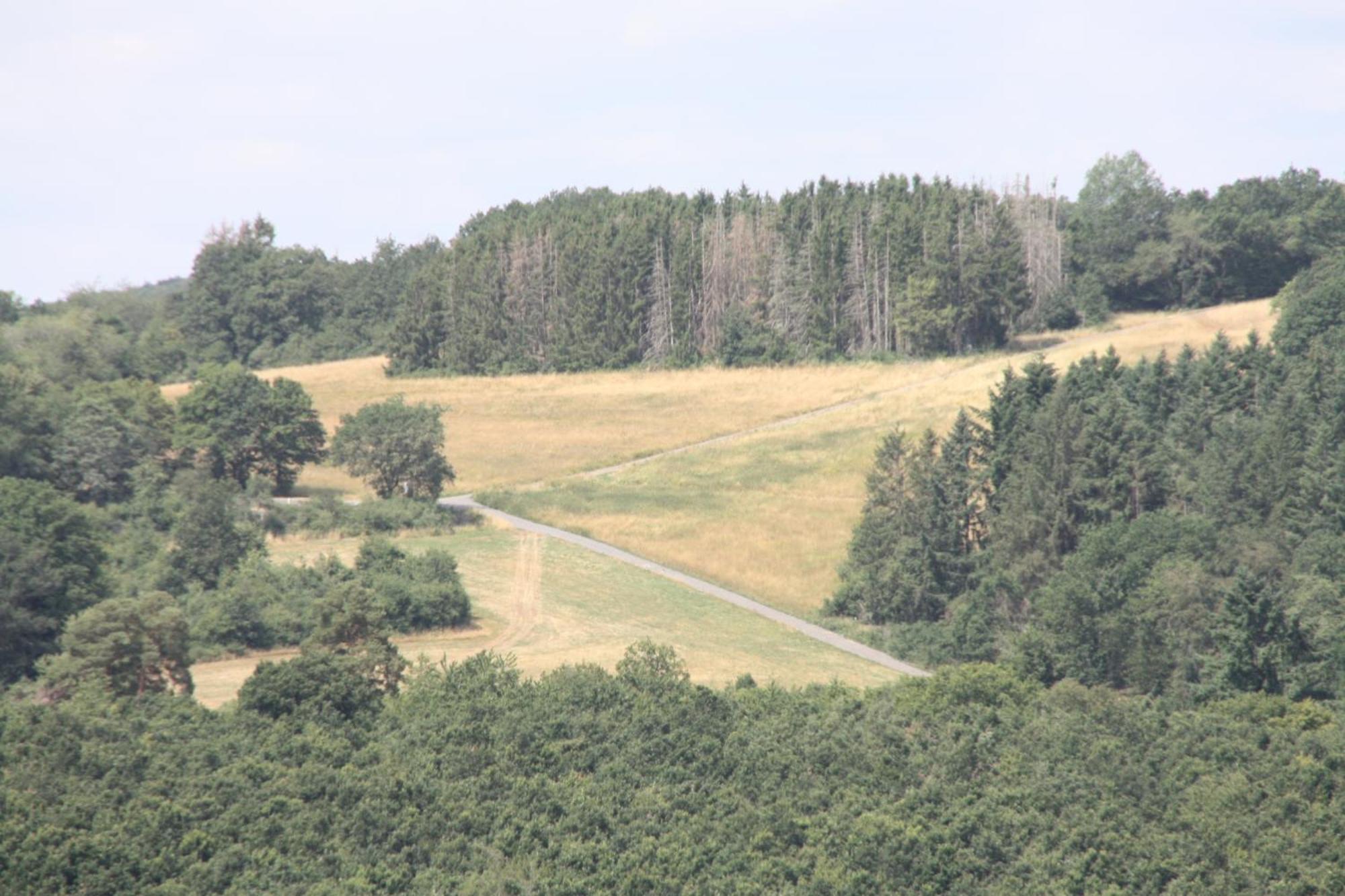 Haus Buchholz Apartment Liesenich ภายนอก รูปภาพ